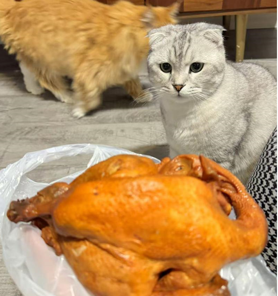 pp电子·模拟器(试玩游戏)官方网站