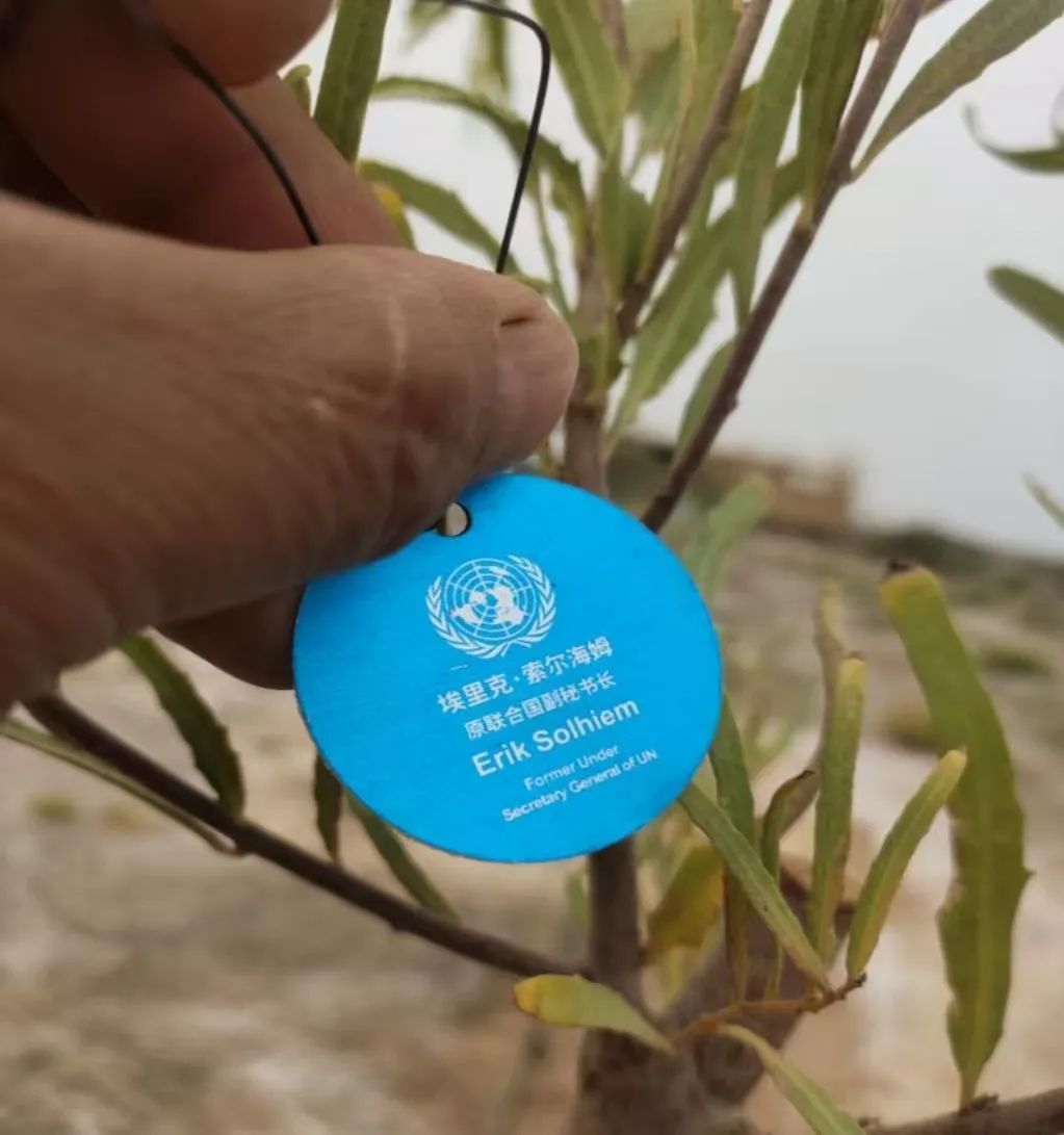 pp电子·模拟器(试玩游戏)官方网站